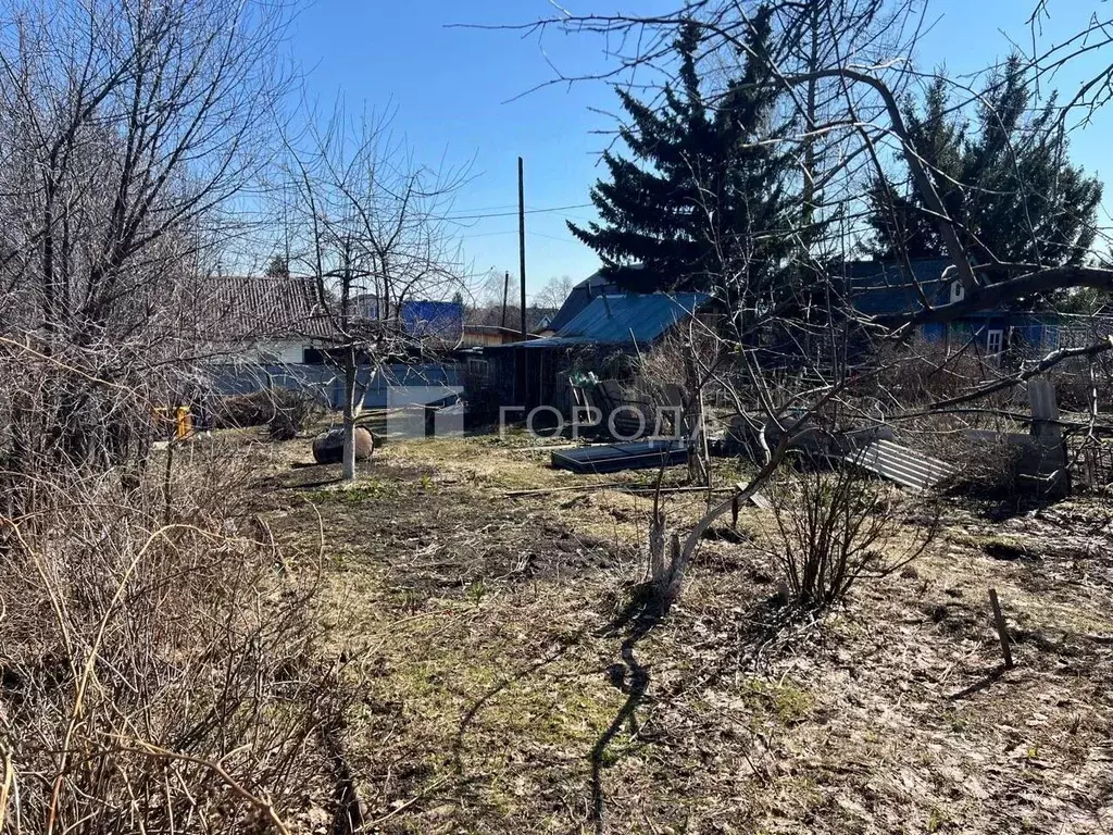 Участок в Алтайский край, Барнаул городской округ, пос. Плодопитомник, ... - Фото 1