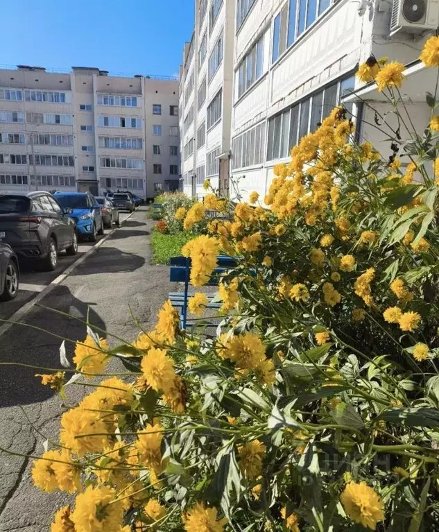 2-к кв. Пермский край, пос. Звездный ул. Коммунистическая, 5А (53.0 м) - Фото 1