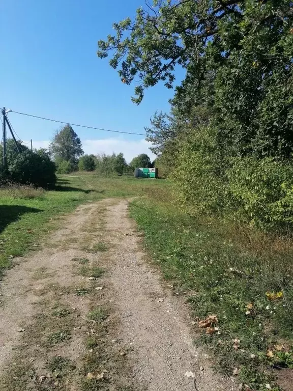 Участок в Ленинградская область, Лужский район, Володарское с/пос, д. ... - Фото 2