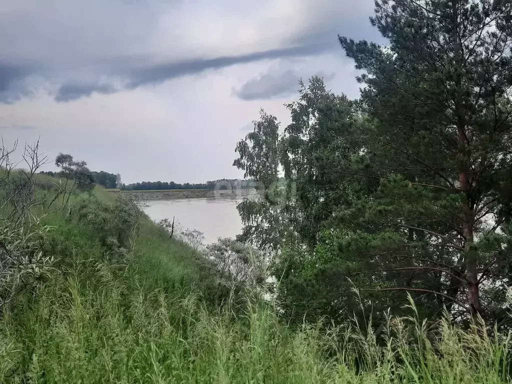 Участок в Алтайский край, Бийский район, Зверовод СДТ ул. Береговая ... - Фото 1