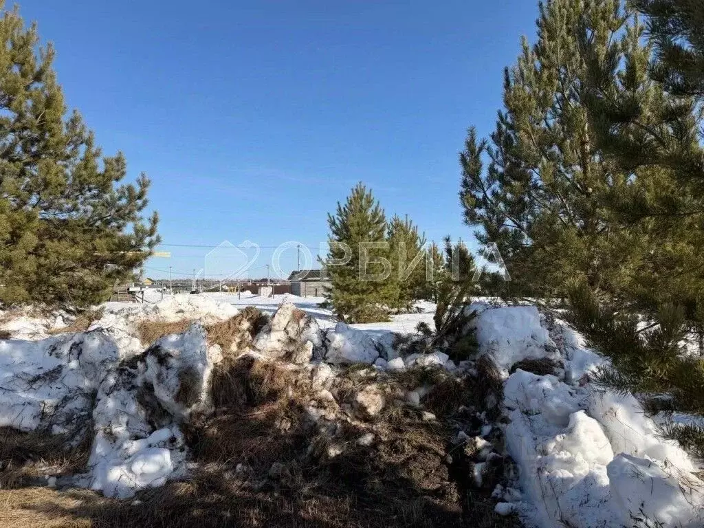 Участок в Тюменская область, Тюменский муниципальный округ, д. Ушакова ... - Фото 2