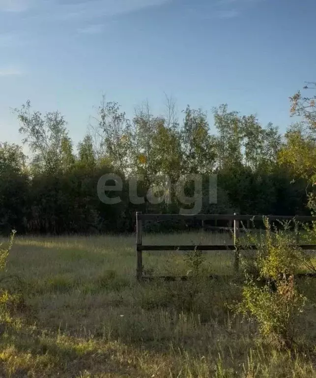 Участок в Саха (Якутия), Якутск Баал Заимката тер., ул. Сайдыы, 160/1 ... - Фото 1