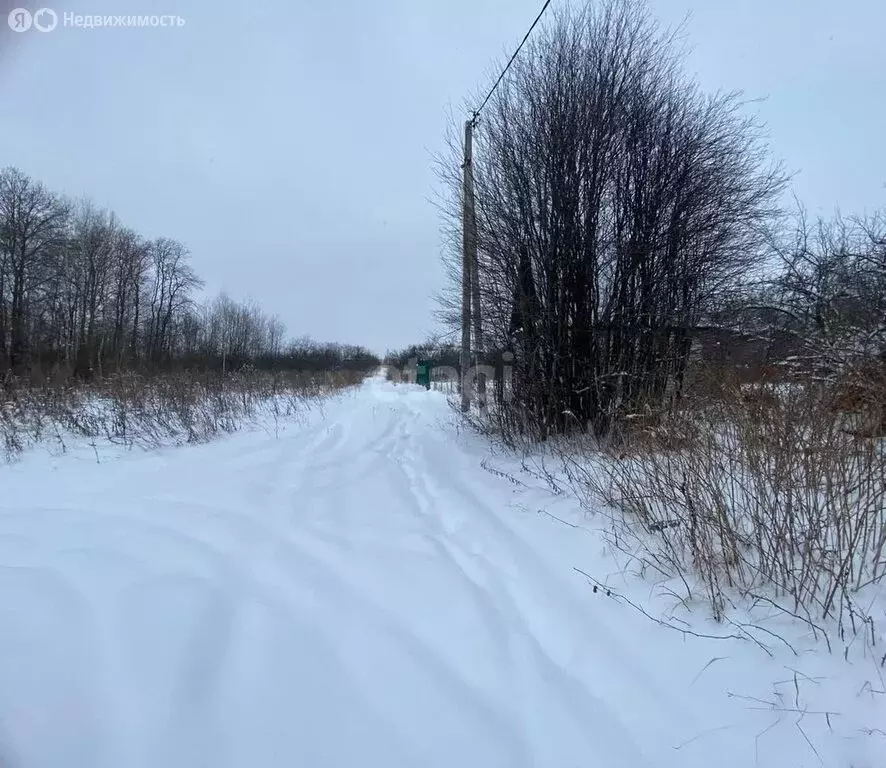 Участок в округ Муром, село Ковардицы (5 м) - Фото 1