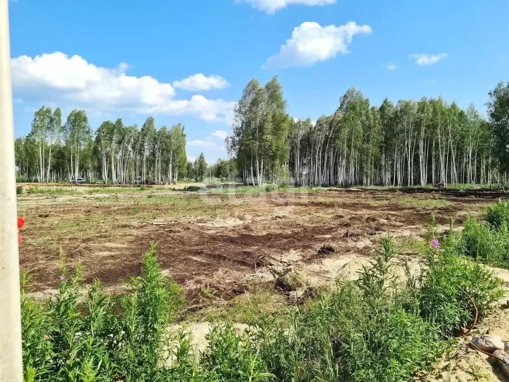 Участок в Тюменская область, Нижнетавдинский муниципальный округ, 7 ... - Фото 2