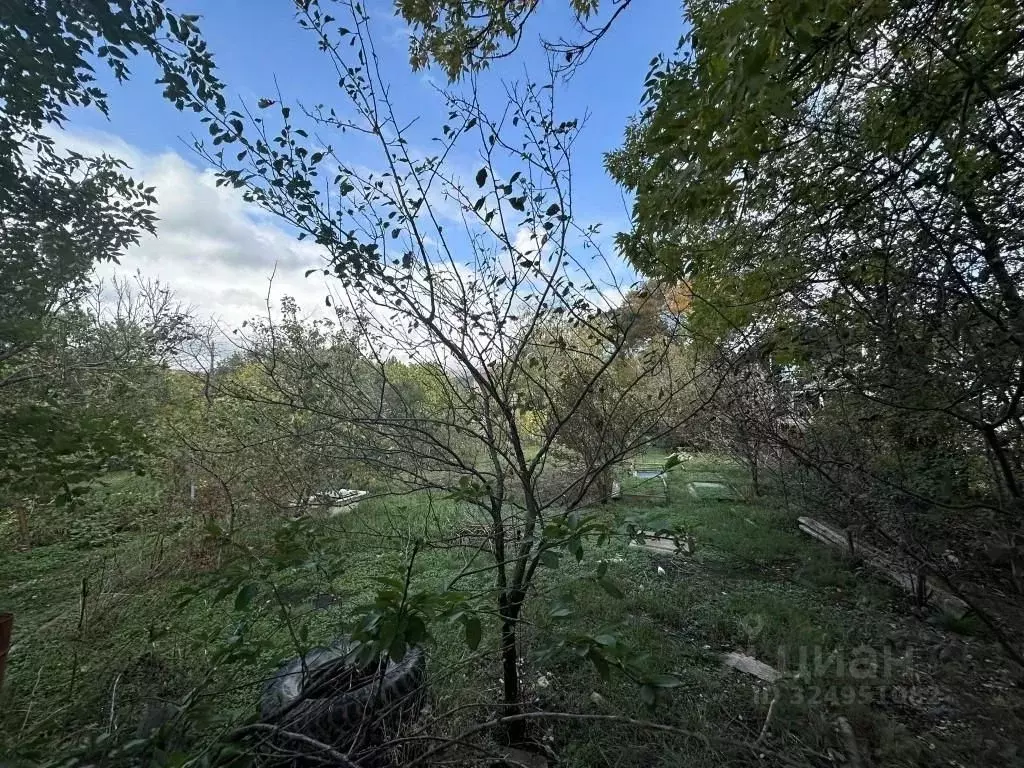 Участок в Краснодарский край, Геленджик городской округ, с. Кабардинка ... - Фото 2