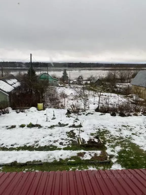 Дом в Вологодская область, Шекснинский муниципальный округ, д. Кочино ... - Фото 1