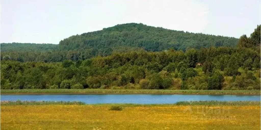 Участок в Калужская область, с. Износки ул. Ленина, 22 (10.0 сот.) - Фото 1