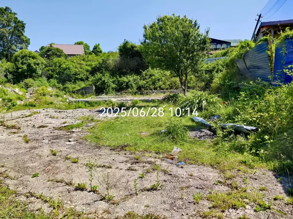 Участок в Краснодарский край, Сочи городской округ, с. Красная Воля ... - Фото 1