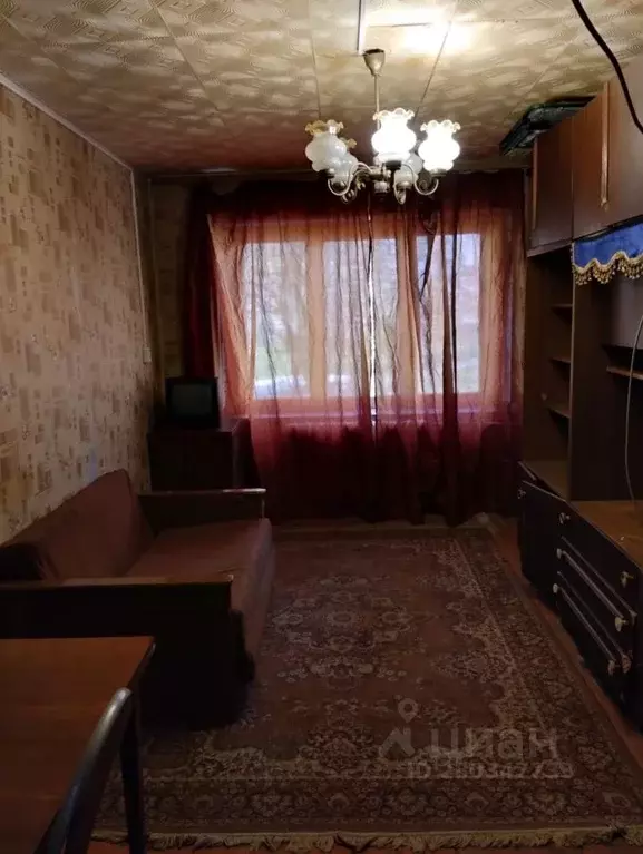 Комната Московская область, Воскресенск Лопатинский мкр, ул. Андреса, ... - Фото 1