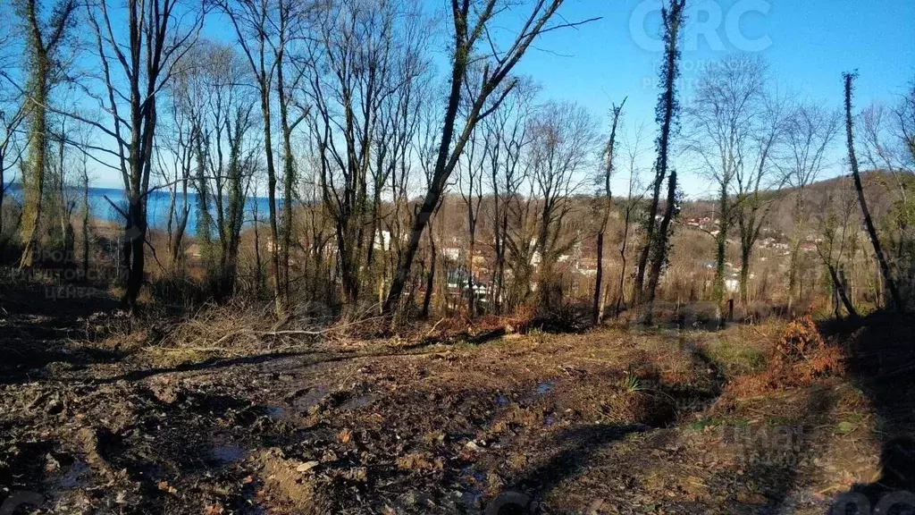 Участок в Краснодарский край, Сочи Главная ул., 125 (204.0 сот.) - Фото 1