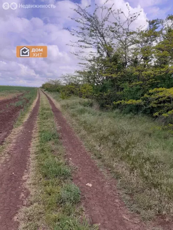 Участок в Сакский район, село Молочное (6 м) - Фото 1