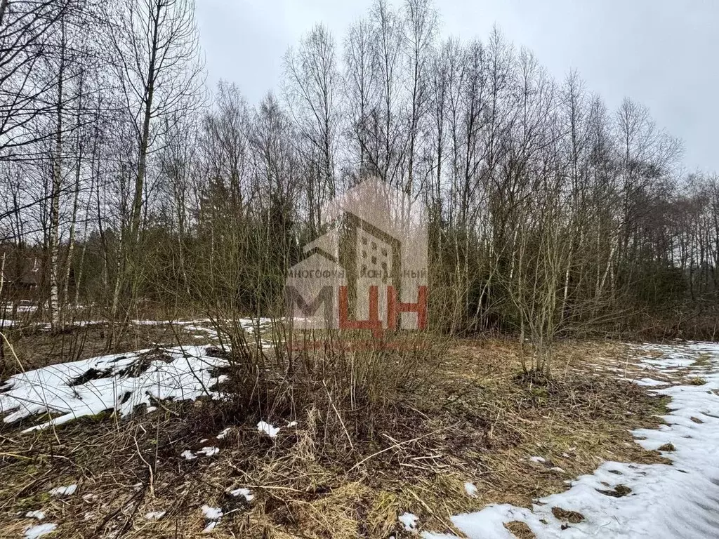 Участок в Тверская область, Конаковский муниципальный округ, Заречье ... - Фото 2