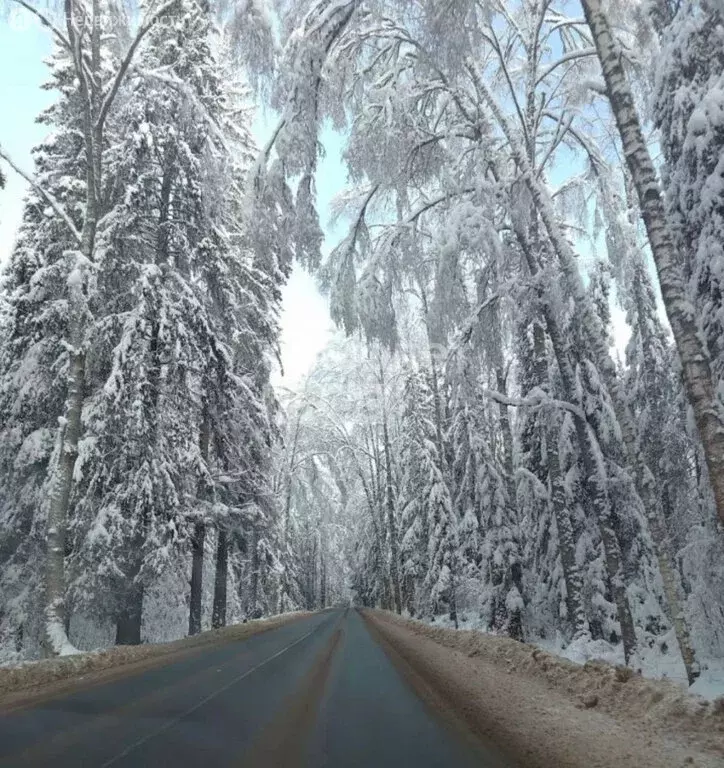 Участок в Московская область, городской округ Пушкинский, деревня ... - Фото 1