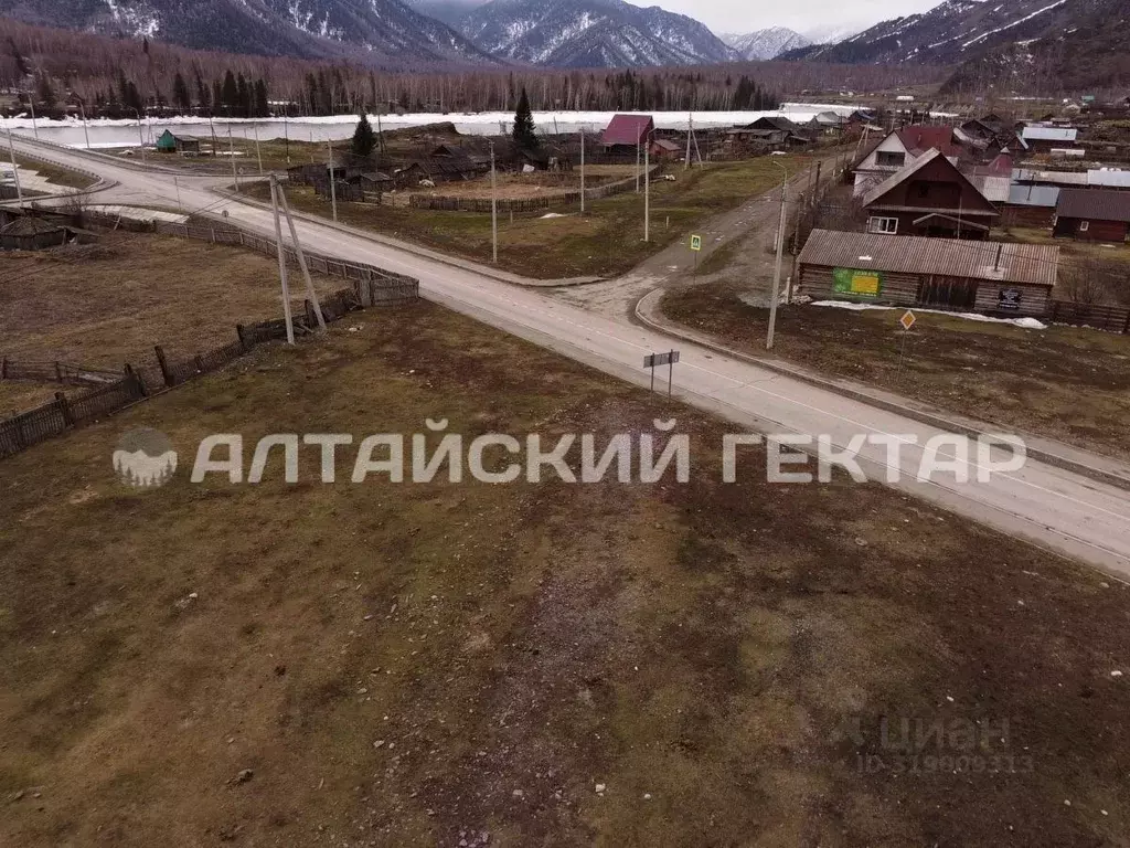 Участок в Алтай, Усть-Коксинский район, с. Тюнгур Катунская ул., 14 ... - Фото 1