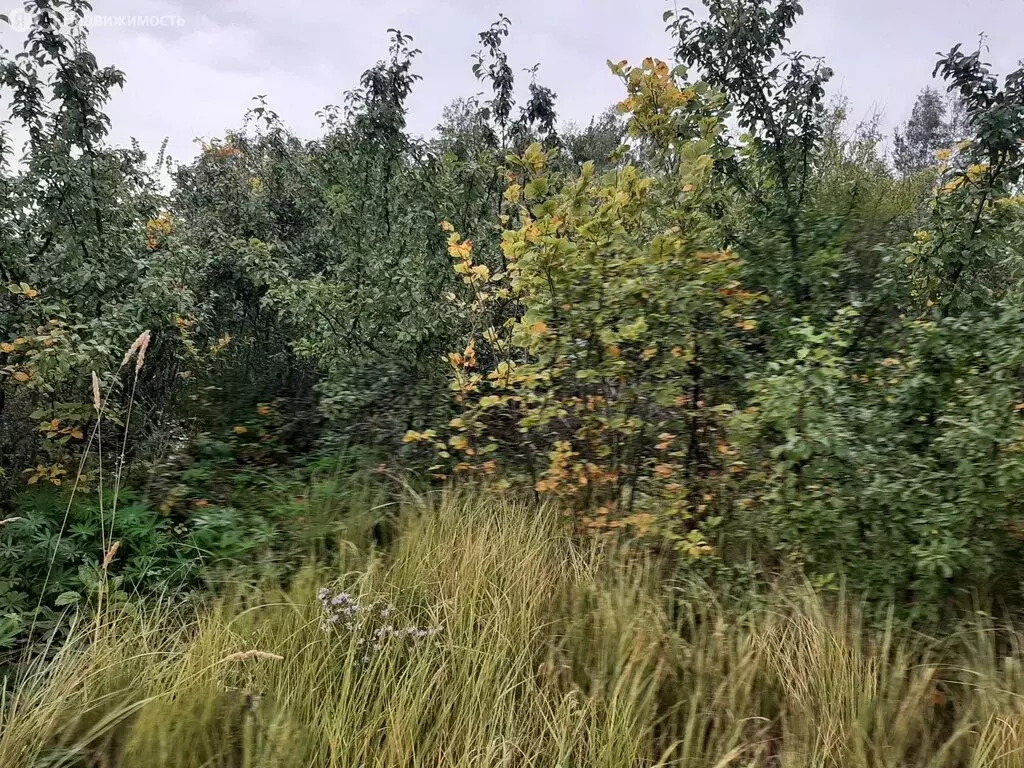 Участок в Тамбов, СНТ Ветеран, 32 (7.8 м) - Фото 1