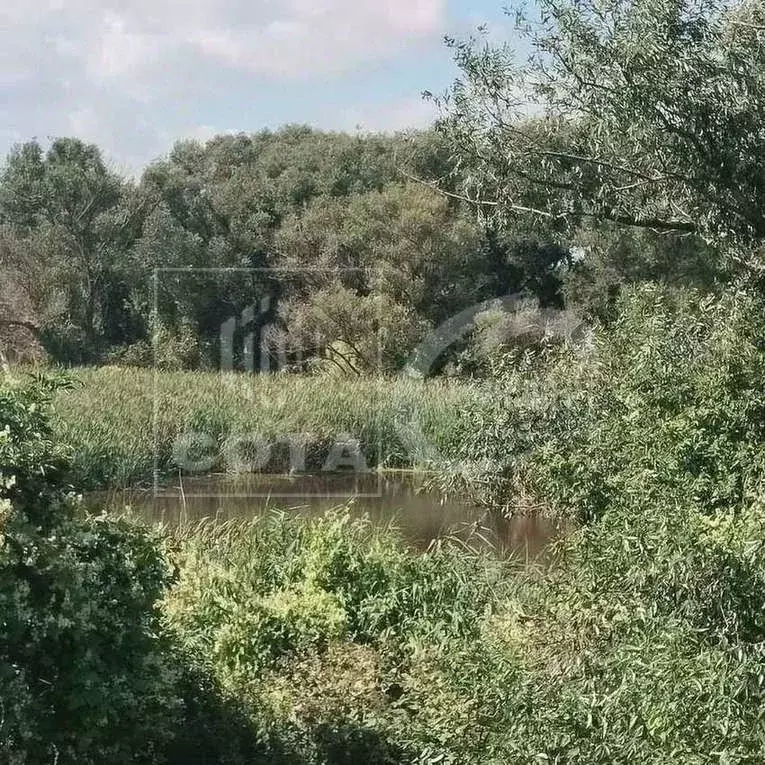 Участок в Воронежская область, Новоусманский район, Отрадненское ... - Фото 2