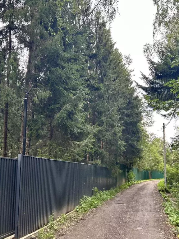 Участок в Московская область, Солнечногорск городской округ, Кортис ... - Фото 0