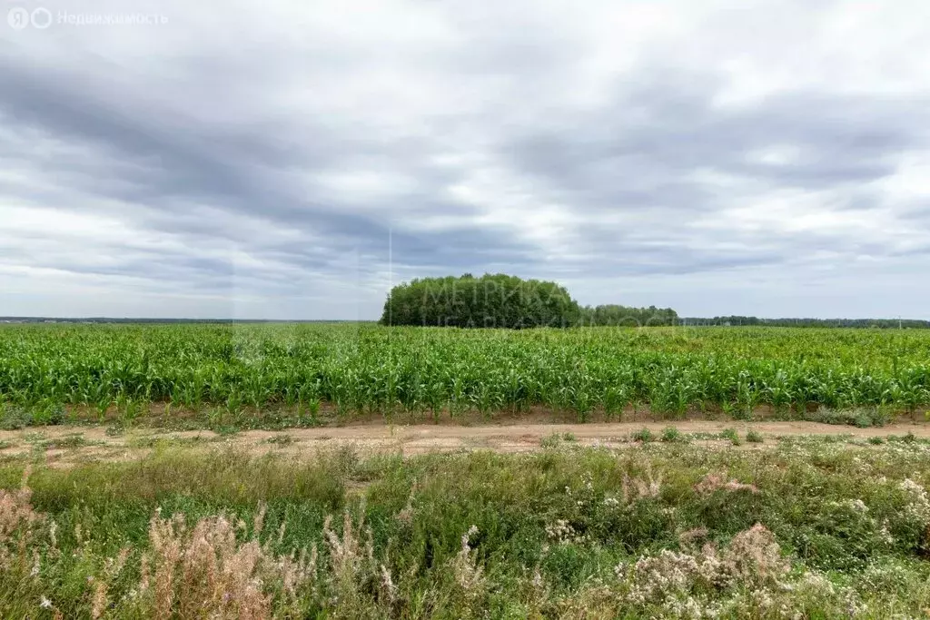 Участок в Тюмень, микрорайон Тюменский-3 (10 м) - Фото 1