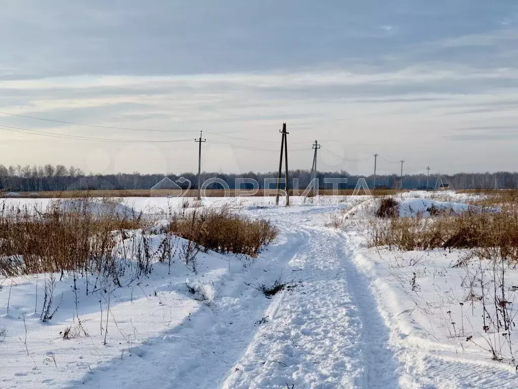 Участок 7,5 сот. (СНТ, ДНП) - Фото 1