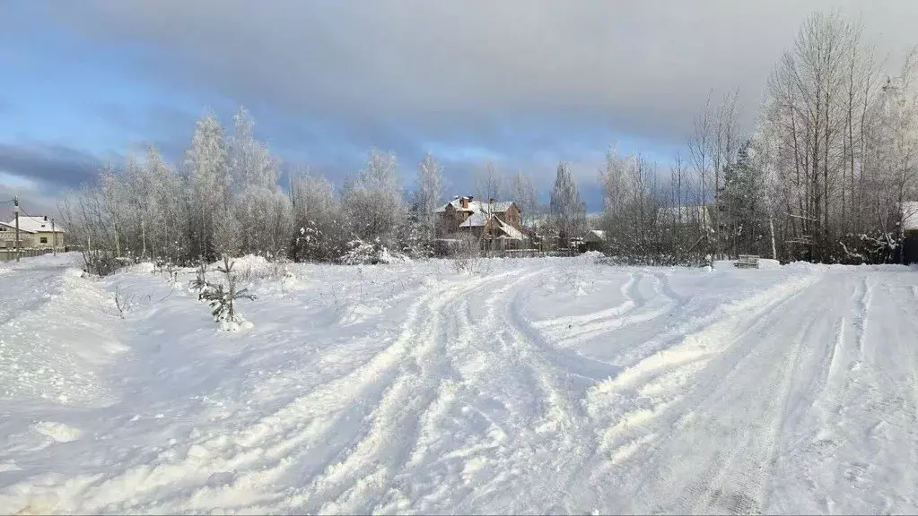 Участок в Ленинградская область, Кириши пл. Ленина (10.0 сот.) - Фото 1