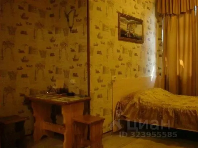 Комната Алтайский край, Барнаул ул. Льва Толстого, 16А (14.0 м) - Фото 1