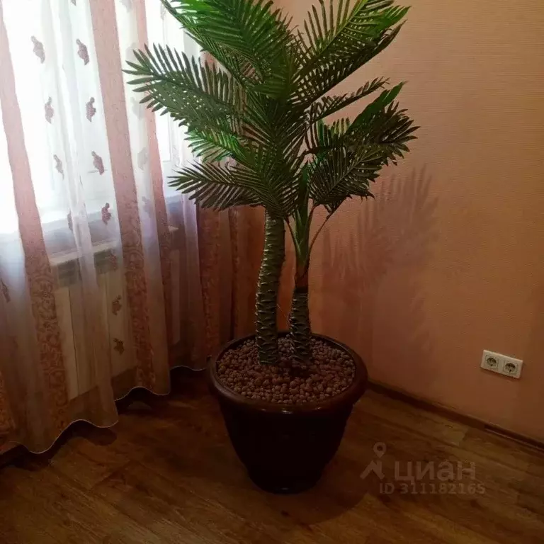 Комната Алтайский край, Барнаул ул. Попова, 115 (35.0 м) - Фото 2