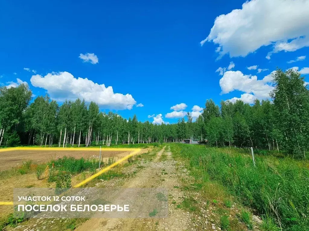Участок в Ленинградская область, Тосненский район, Шапкинское с/пос, ... - Фото 2