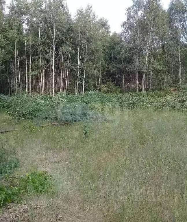 Участок в Нижегородская область, Нижний Новгород пос. Березовая Пойма, ... - Фото 1
