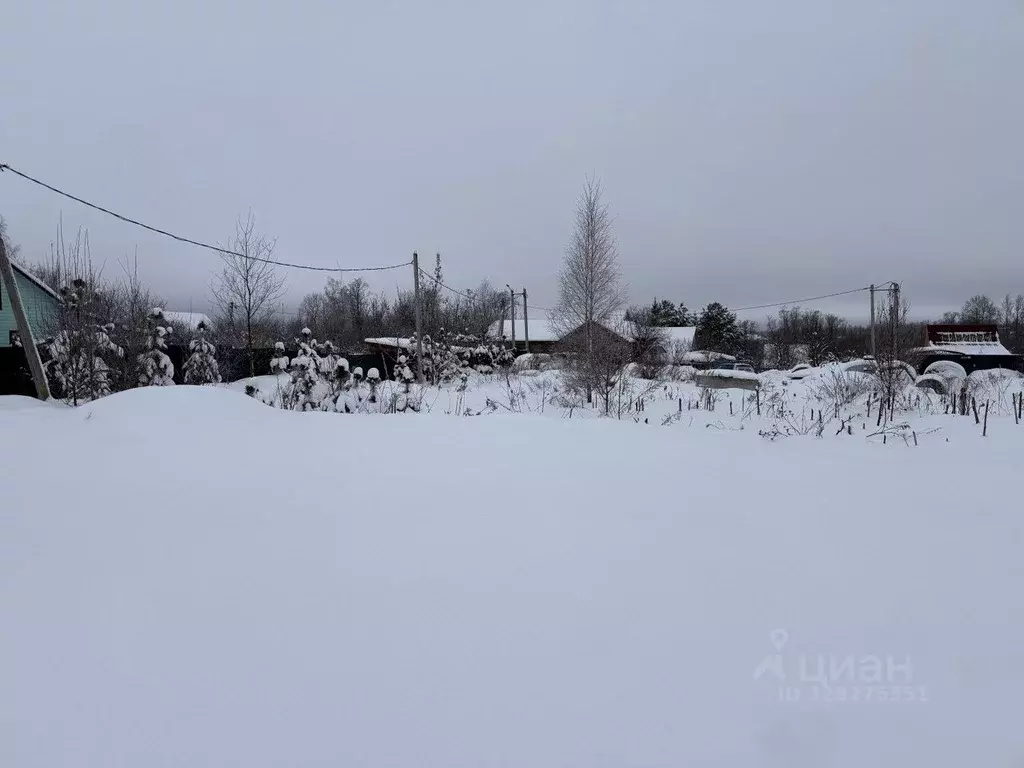 Участок в Московская область, Одинцовский городской округ, Большие ... - Фото 1