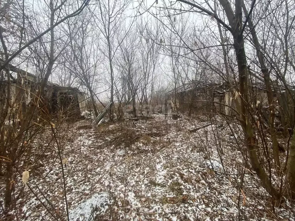 Дом в Белгородская область, Корочанский район, Большехаланское с/пос, ... - Фото 0