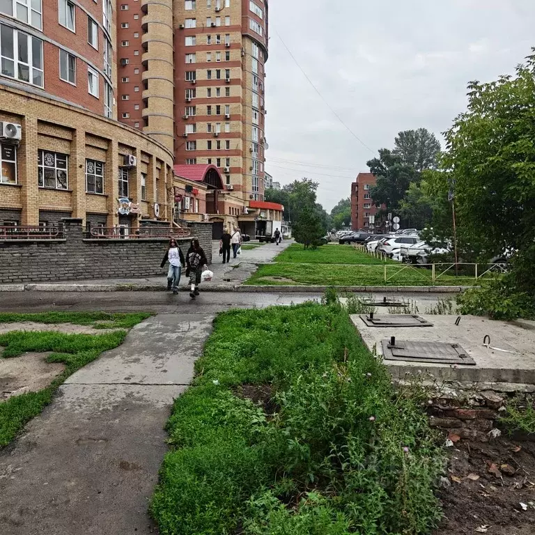Торговая площадь в Омская область, Омск ул. Декабристов, 116/1 (89 м) - Фото 2