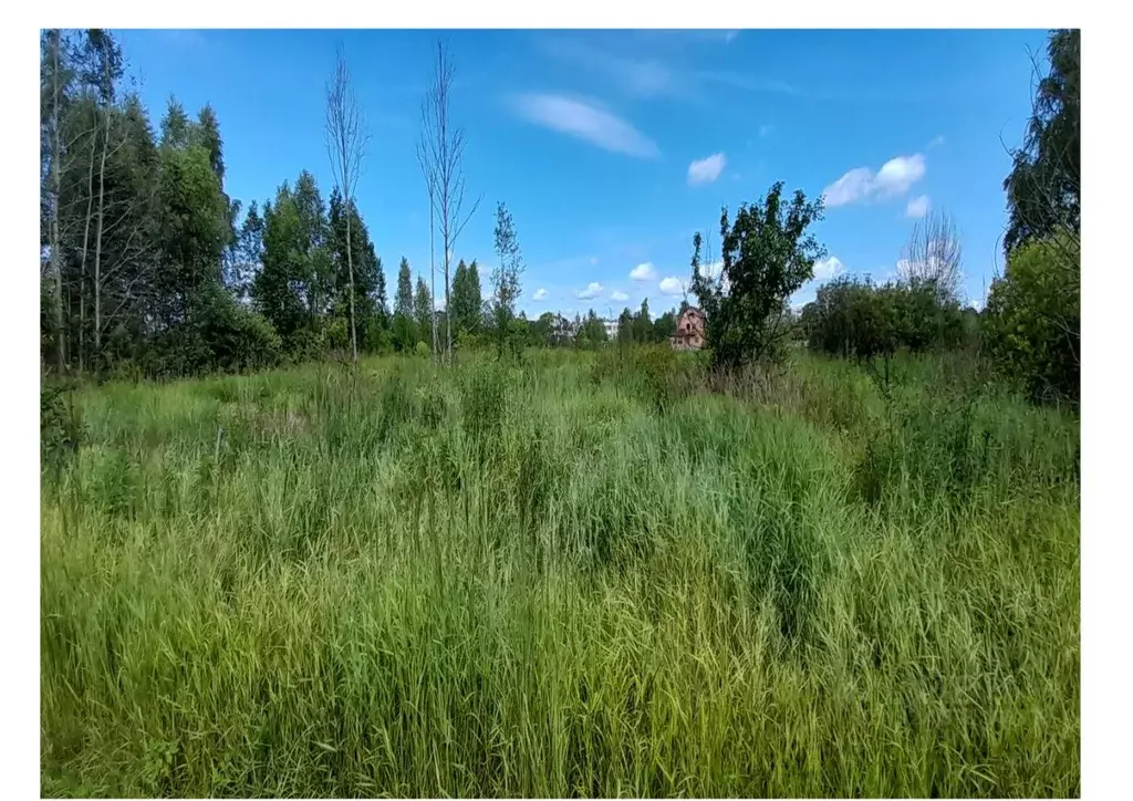 Участок в Ярославская область, Угличский муниципальный округ, д. ... - Фото 1