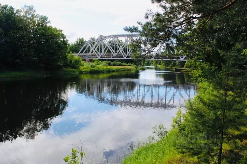 Участок в Нижегородская область, Семеновский муниципальный округ, д. ... - Фото 2