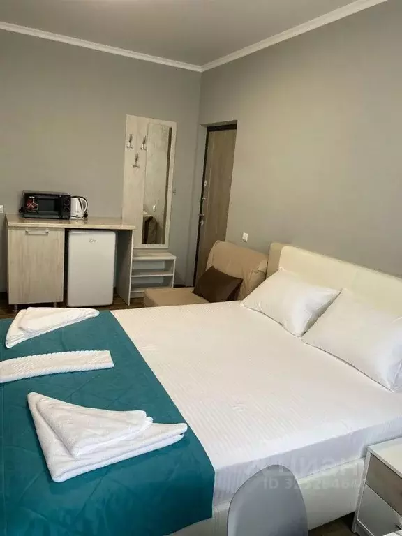 Студия Краснодарский край, Туапсинский муниципальный округ, с. Агой, ... - Фото 1