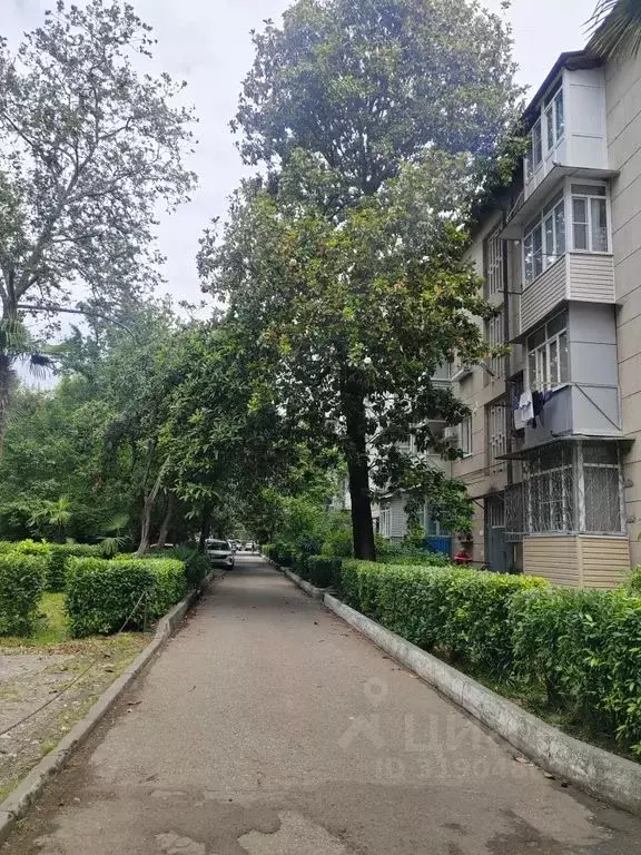 1-к кв. Краснодарский край, Сочи ул. Гагарина, 50 (28.0 м) - Фото 0