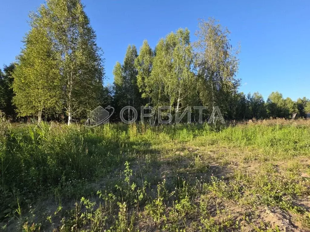 Участок в Тюменская область, Тюмень Велижанский тракт, 9-й км (6.58 ... - Фото 2