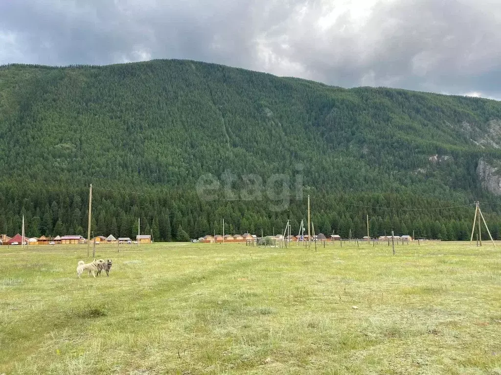 Участок в Алтай, Улаганский район, с. Акташ ул. Юбилейная, 19 (9.5 ... - Фото 0