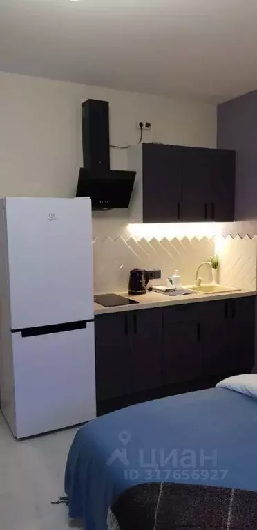 1-к кв. Санкт-Петербург просп. Буденного, 19к1 (26.0 м) - Фото 1