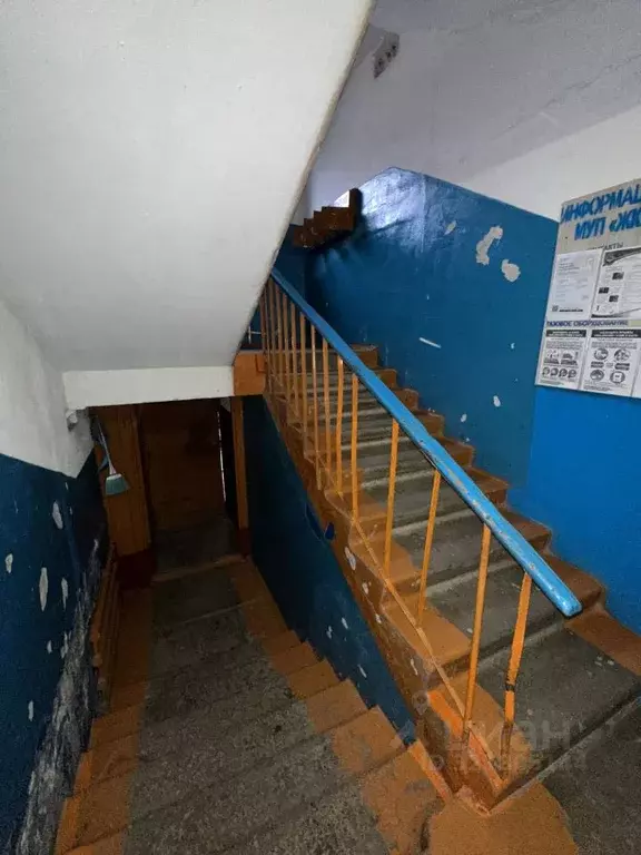 2-к кв. Нижегородская область, Городецкий муниципальный округ, с. ... - Фото 0