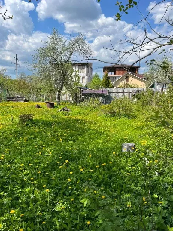 Купить Участок В Королеве Дружба