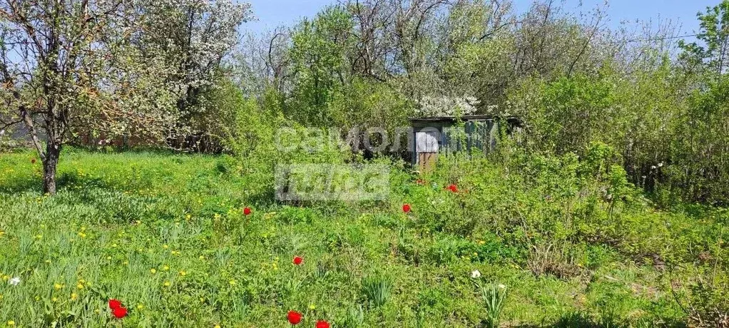 Участок в Пензенская область, Пенза пл. Ленина (8.5 сот.) - Фото 1