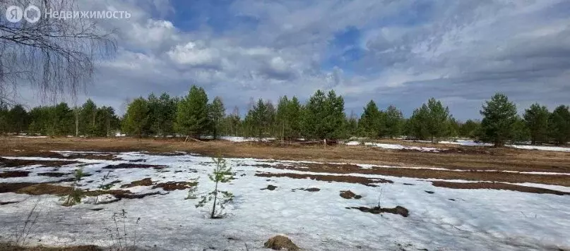 Участок в Нижегородская область, муниципальный округ Бор, село ... - Фото 2