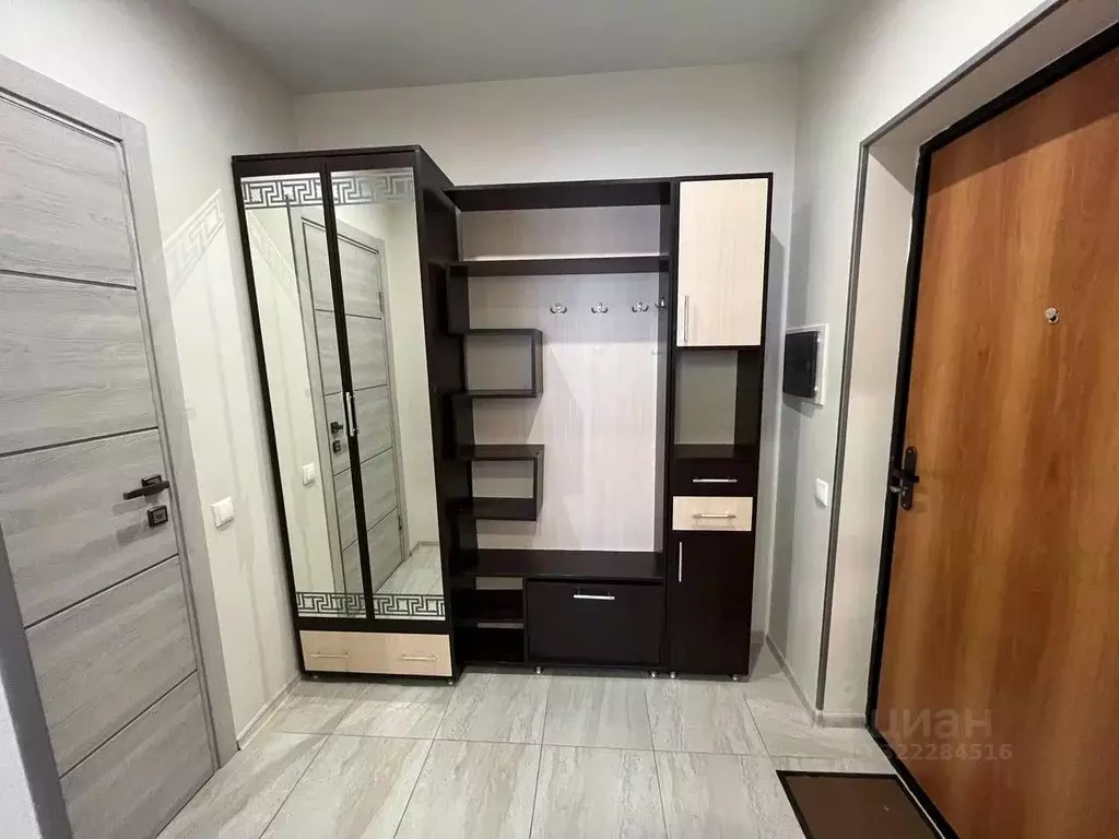 1-к кв. Московская область, Ногинск Богородский городской округ, ул. ... - Фото 2