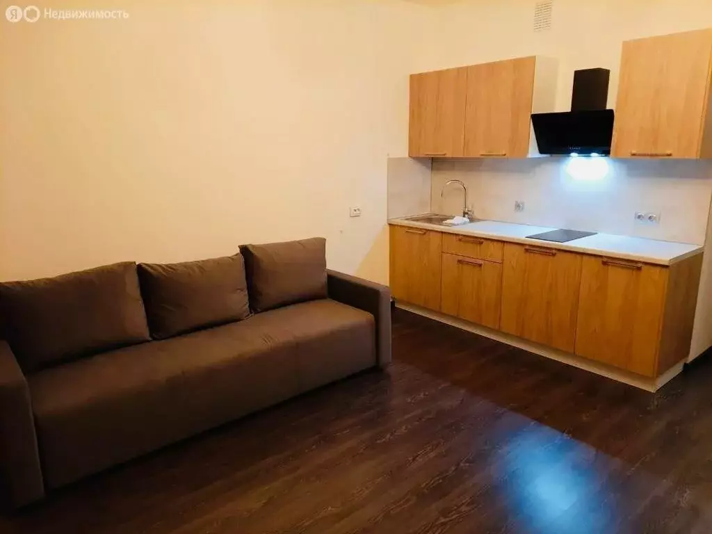 Квартира-студия: Санкт-Петербург, Верхне-Каменская улица, 9к1 (30.5 м) - Фото 1