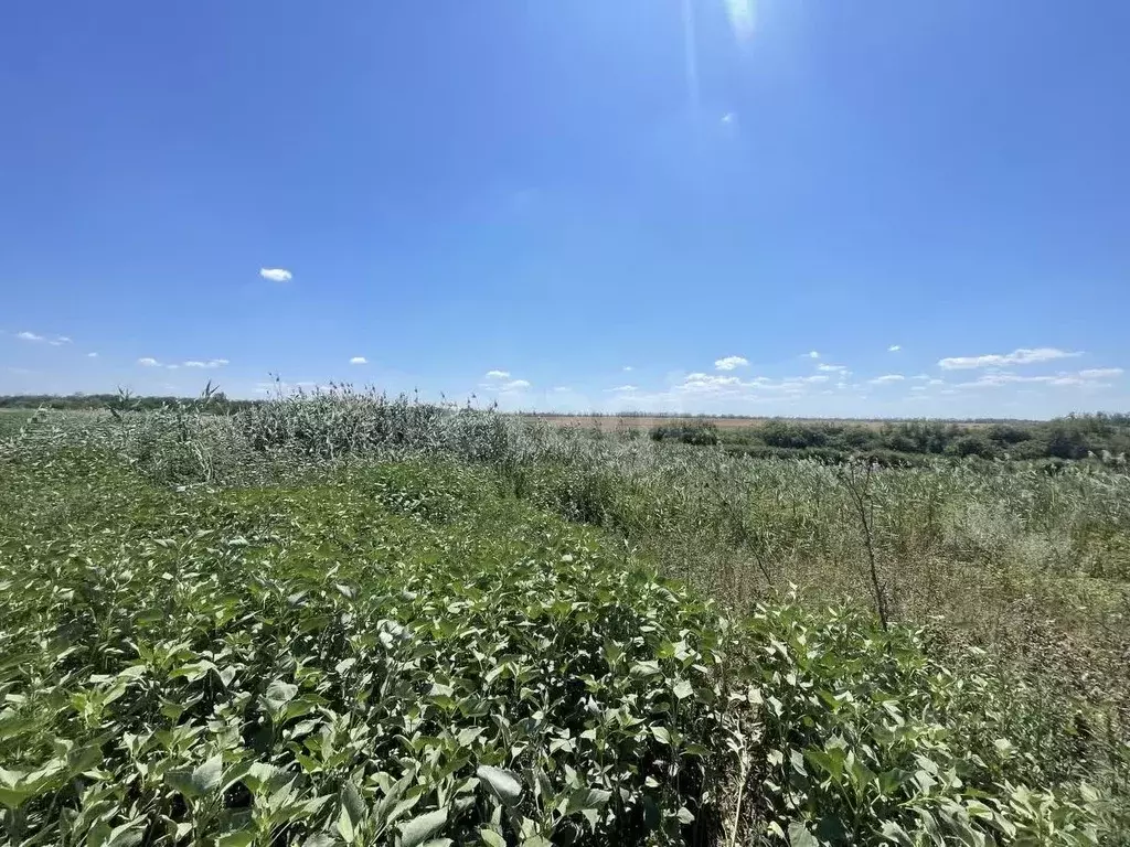 Участок в Ростовская область, Азовский район, Задонское с/пос, Ельбузд ... - Фото 0