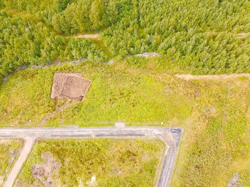 Участок в Ленинградская область, Всеволожский район, Колтушское ... - Фото 1