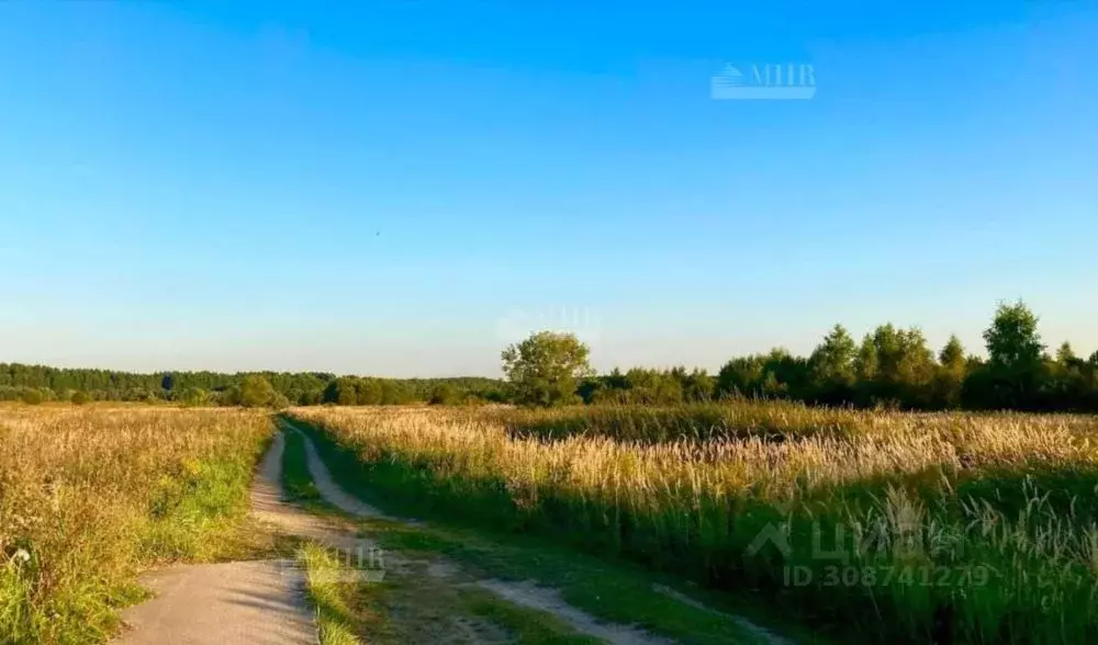 Участок в Московская область, Красногорск городской округ, д. ... - Фото 1