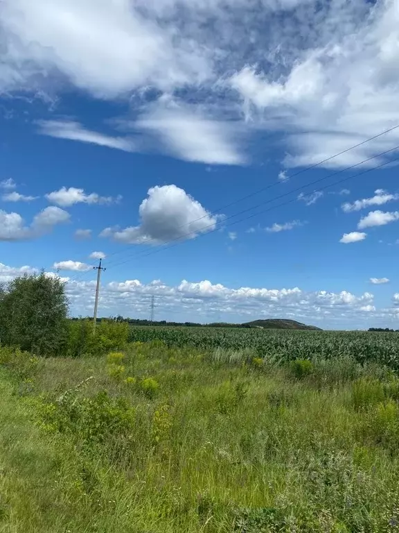 Участок в Нижегородская область, Кстовский муниципальный округ, с. ... - Фото 0