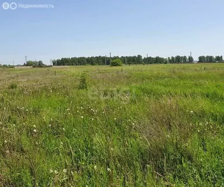 Участок в Курганская область, Кетовский муниципальный округ, деревня ... - Фото 1