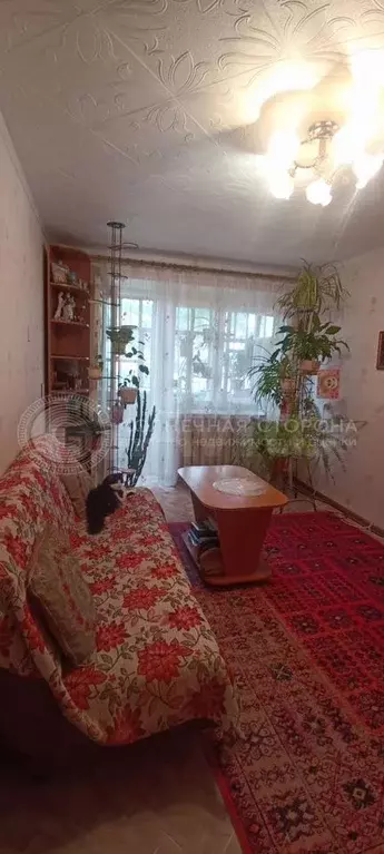 1-к. квартира, 29,7 м, 5/5 эт. - Фото 1